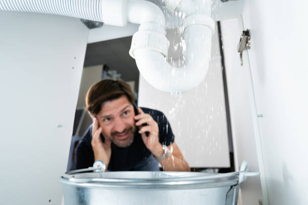 Best Sewer Cleaning Services  in Whiteville, TN