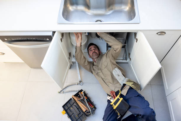 Best Affordable Plumber Near Me  in Whiteville, TN