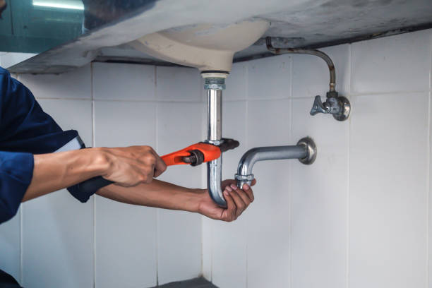 Best Drain Cleaning Services  in Whiteville, TN