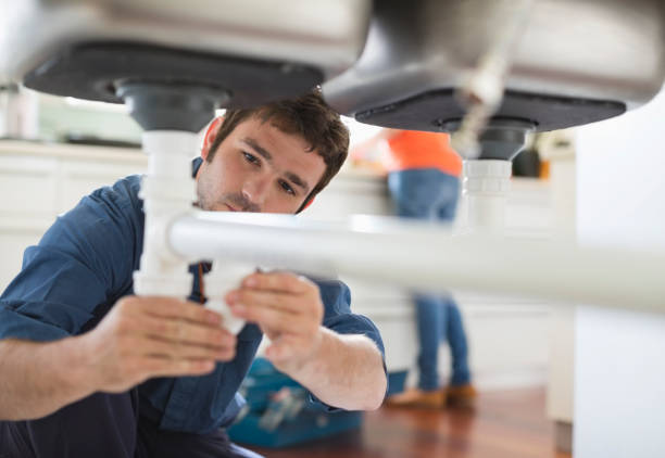 Best Emergency Plumber  in Whiteville, TN